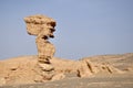 Yadan Geological Park, Dunhuang, China Royalty Free Stock Photo