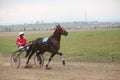 Yadrin, Chuvashia, Russia - August 13, 2022 : Horses and riders running at horse races