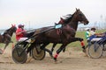 Yadrin, Chuvashia, Russia - August 13, 2022 : Horses and riders running at horse races