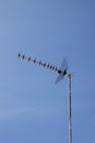 Yagi-Uda type television antenna, directional to watch DTT Digital Terrestrial Television