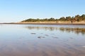 Yagry in Severodvinsk. Unique pine forest. white sea coast. sea