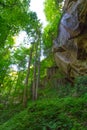 View of the Yahoo Falls Area, Kentucky