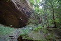 View of the Yahoo Falls Area, Kentucky