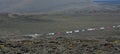 Cars Queuing in Volcanic landscape of Lanzarote.