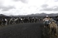 The Echadero de Los Camellos is a walk which is done on the back of a dromedary, in Lanzarote Island