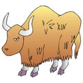 Yak