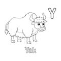 Yak Alphabet ABC Coloring Page Y Royalty Free Stock Photo