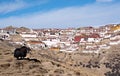 Yak in front of Ganden Monastery in Tibet