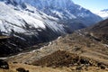 Yak garzing, Dingboche village Nepal Royalty Free Stock Photo