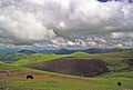 Yak grazing on grassland Royalty Free Stock Photo