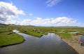 Yak grazing in the Mongolian steppe Royalty Free Stock Photo