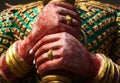 Yak guardian demon colofrul sculpture hands close-up in Asian temple