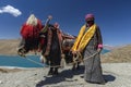 Yak, Namtso Lake in Tibet,China Royalty Free Stock Photo