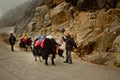 Yak Ride beside Changu Lake Royalty Free Stock Photo