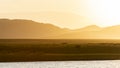 Yak Sunset at River Mongolia