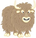 Yak