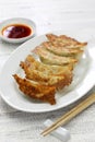 Yaki gyoza, japanese pot stickers Royalty Free Stock Photo