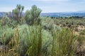 Yakima valley landscape