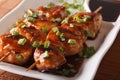 Yakitori chicken with green onions close-up on a plate. horizontal Royalty Free Stock Photo