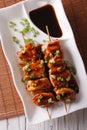 Yakitori chicken with green onions close-up on a plate. vertical Royalty Free Stock Photo