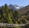 Yaks caravan crossing suspension bridge in Himalayas Royalty Free Stock Photo