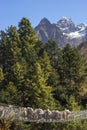 Yaks caravan crossing suspension bridge in Himalayas Royalty Free Stock Photo