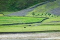 Yaks graze at the river dam in the grassland of Xinduqiao in Western Sichuan