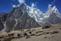 Yaks grazing along Everest trek, Himalayas mountains, Nepal