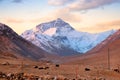 Yaks in the Tibetan plateau in a brown valley surrounding Mount Everest, against a warm colorful morning sky.