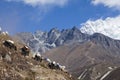 Yaks on the way to Everest Base Camp, beautiful sunny weather and spectacular views