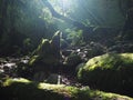 Yakushima Shiratani Unsui-kyo Gorge