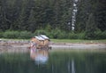 Yakutat Alaska Floating Fishing Cabin