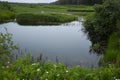 Yakutat Alaska Tawah Creek