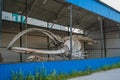 Whale skeleton exposed on the street behind the net. Sightseeing of Yakutsk.