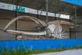 Whale skeleton exposed on the street behind the net. Sightseeing of Yakutsk.