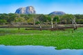 Yala National Park, Sri Lanka, Asia. Beautiful landscape, lake with water flowers and old trees. Forest in Sri Lanka, Big stone ro Royalty Free Stock Photo