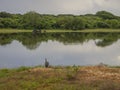 Yale national park in Srilanka