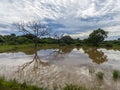 Yale national park in Srilanka