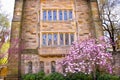 Yale University Victorian Building Magnolia Royalty Free Stock Photo