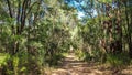 Yalgorup National Park near Mandurah, Western Australia Royalty Free Stock Photo