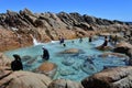 Australian people enjoying a rock pool in Western Australia