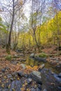 yalova double waterfall yellow leaves water flow