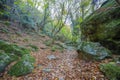 yalova double waterfall yellow leaves water flow