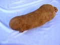 Yam Royalty Free Stock Photo