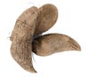 Yam tuber on a white background. Concept of tropical food. Copy space