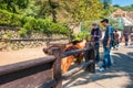 Yama Jigokuor mountain hell in Beppu, Oita, Japan. Royalty Free Stock Photo