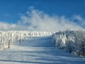 Yamagata frozen trees snow monsters and ski slope at mt.zao Royalty Free Stock Photo