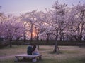 Yamagata, Japan April 4th 2023: Romance blooms under Yamagata\'s Hanami. A young couple, silhouetted by sunset in