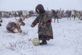 The Yamal Peninsula. Reindeer with a young reindeer herder. Happy boy on reindeer herder pasture playing with a ball in winter