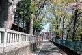 Shimoyoshida Fujisan Simomiya Omuro Sengen Jinja Torii gate in Yamanashi, Japan